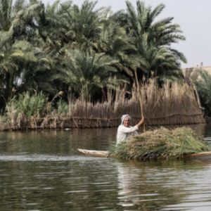 همه چیز درباره سفر به استان خوزستان