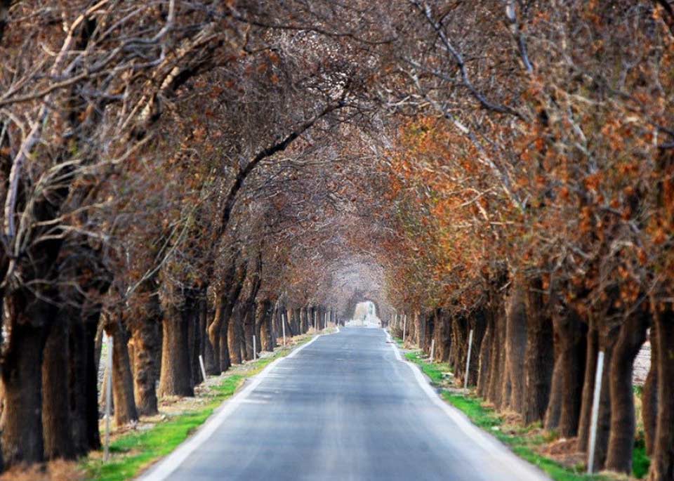تهران گردی ورامین گردی